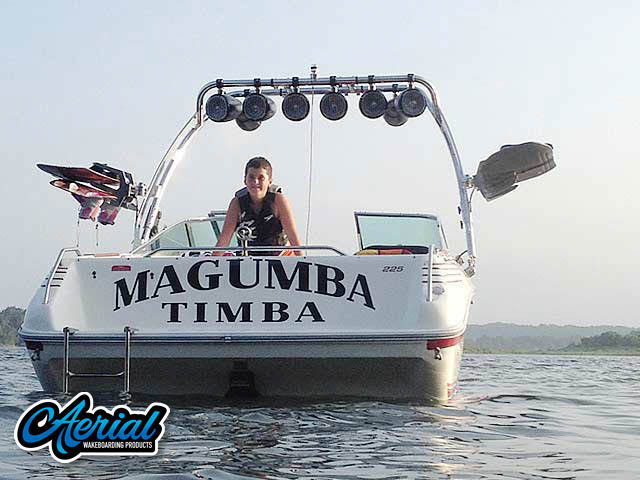 1991 Sea Ray 225 with FreeRide Tower — customer install photo