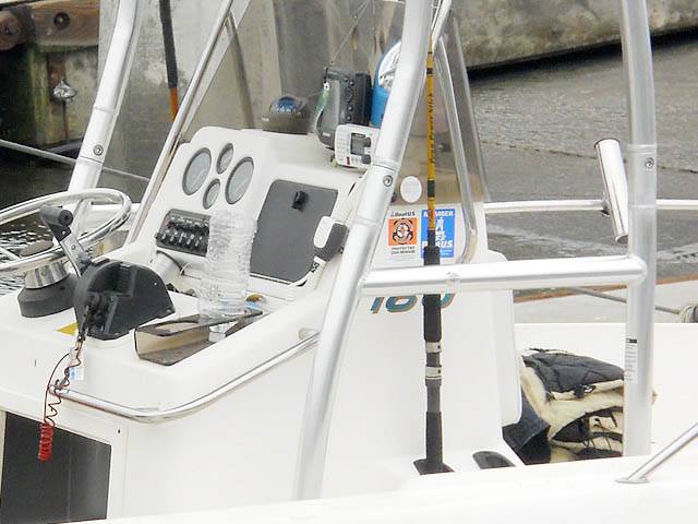 1996 Sunbird Neptune 18' with SG300 Boat T-Top