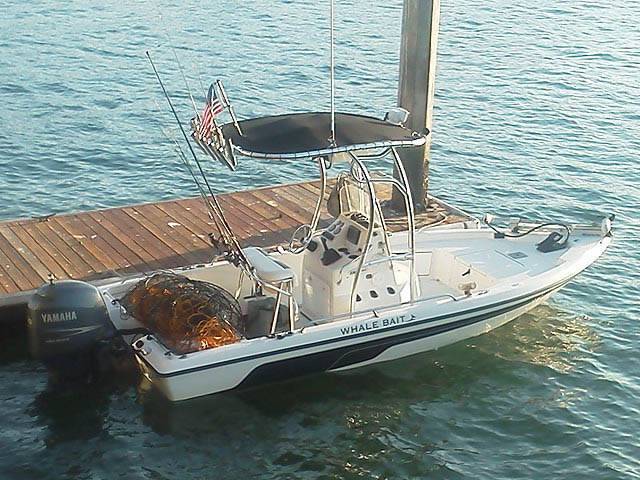 2004 Skeeter zx20 bay with SG600 Boat T-Top