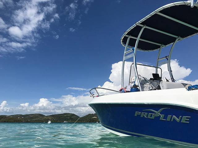 2003 Pro-Line 19 Sport with SG300 Boat T-Top