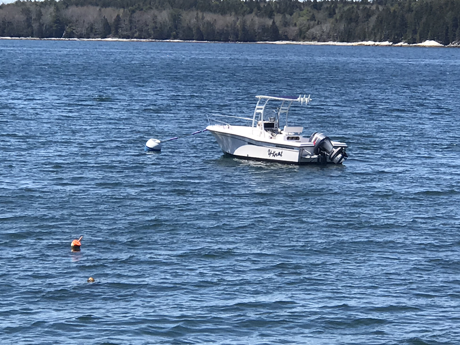1998 Grady-White Escape 219 with SG300 Boat T-Top