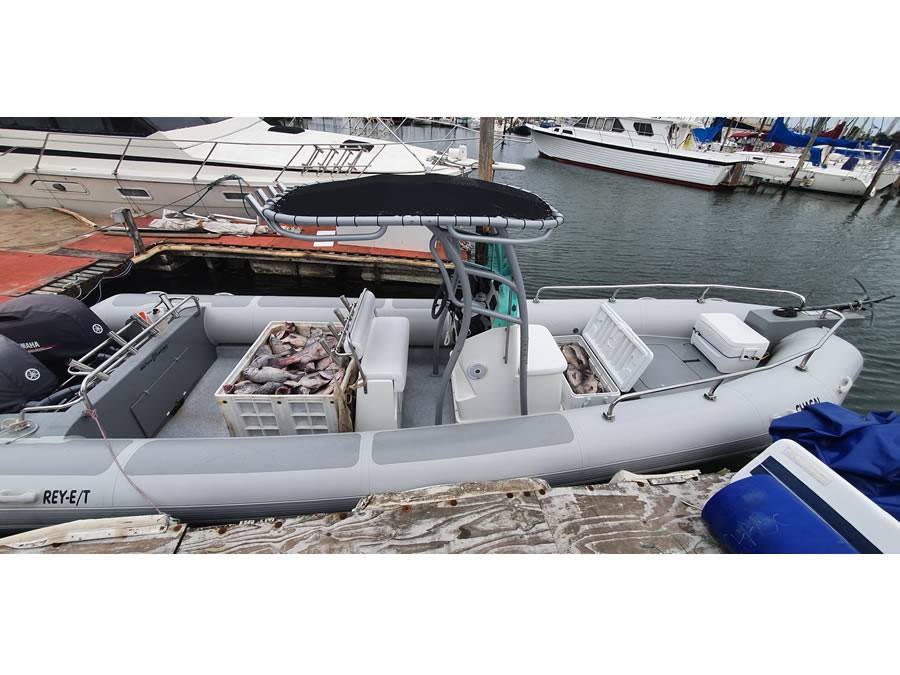2019 RIB 8