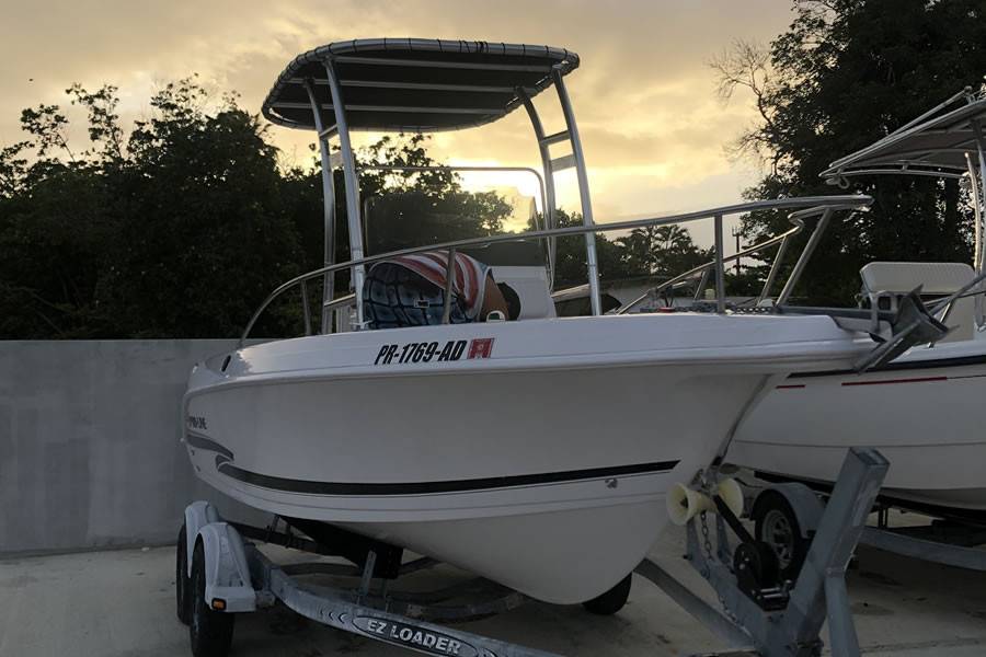 2002 Pro-Line with SG300 Boat T-Top