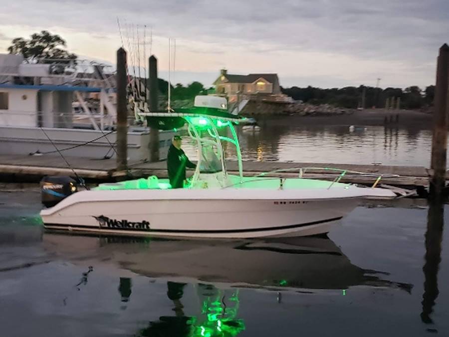 2000 Wellcraft Fisherman 216 with SG600 Boat T-Top