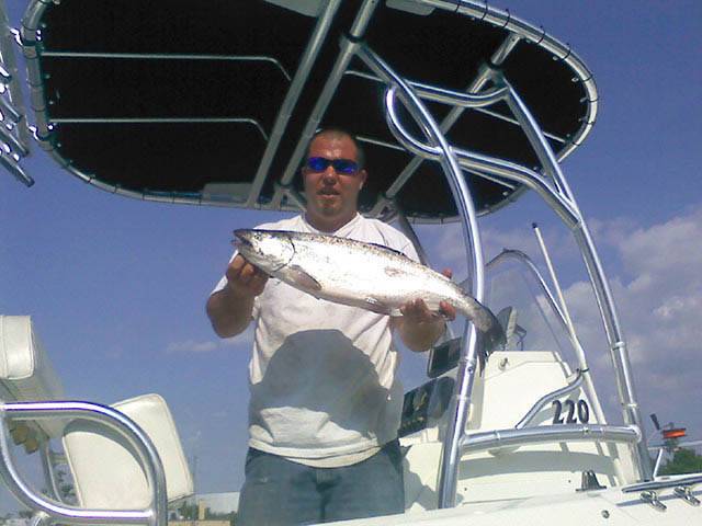2004 Angler 220 CC with SG600 Boat T-Top