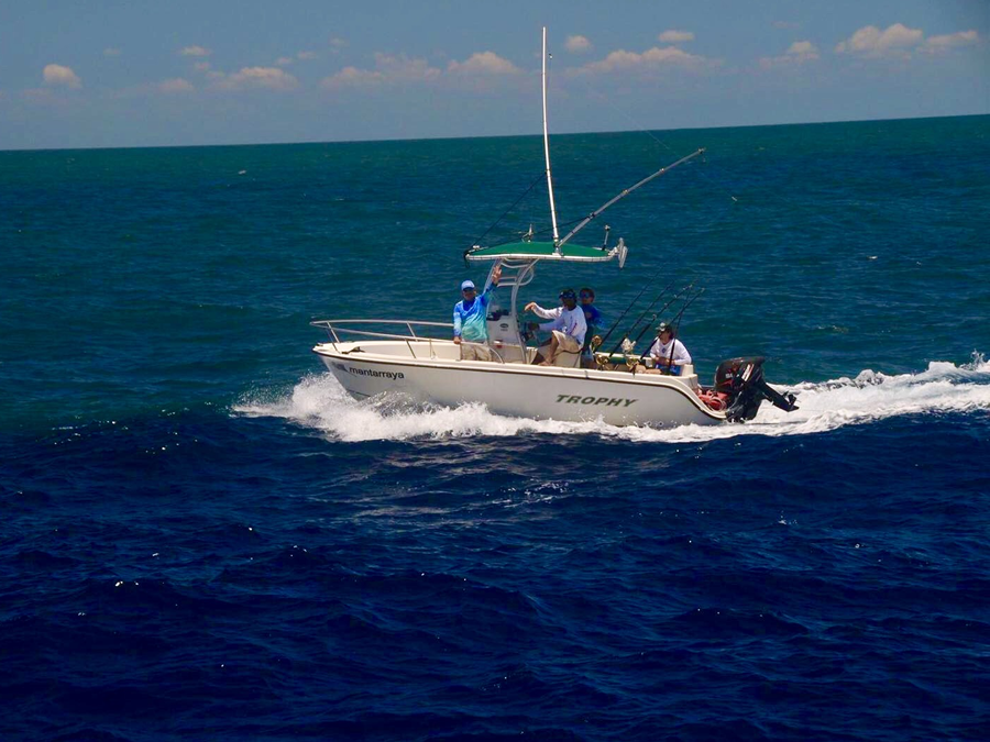 2002 Trophy 1903 with SG600 Boat T-Top