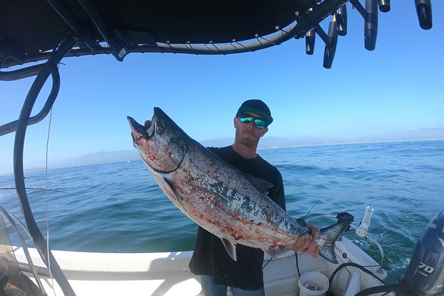 15.5’ Livingston with SG600 Boat T-Top