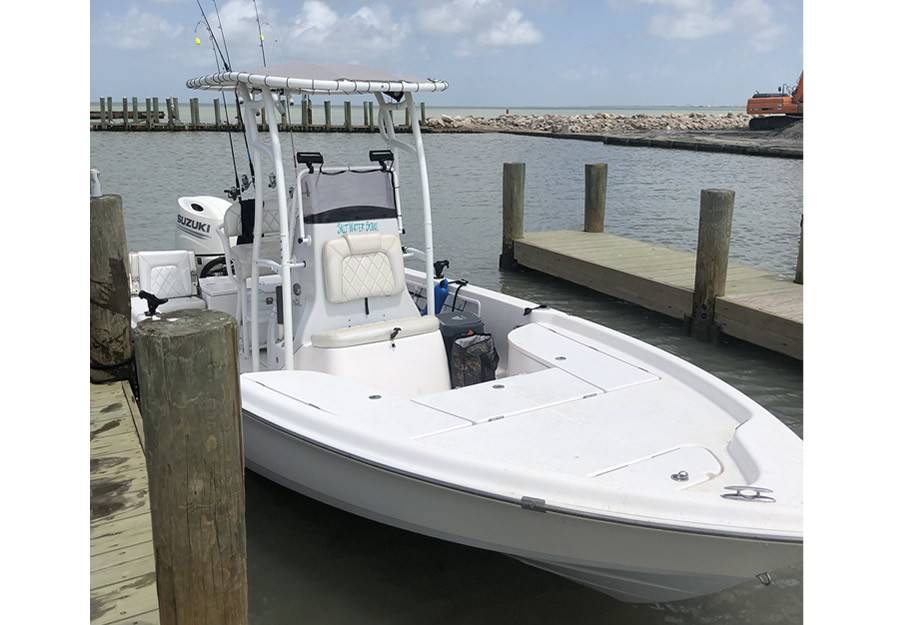 2019 Blue Wave 2200 Pure Bay