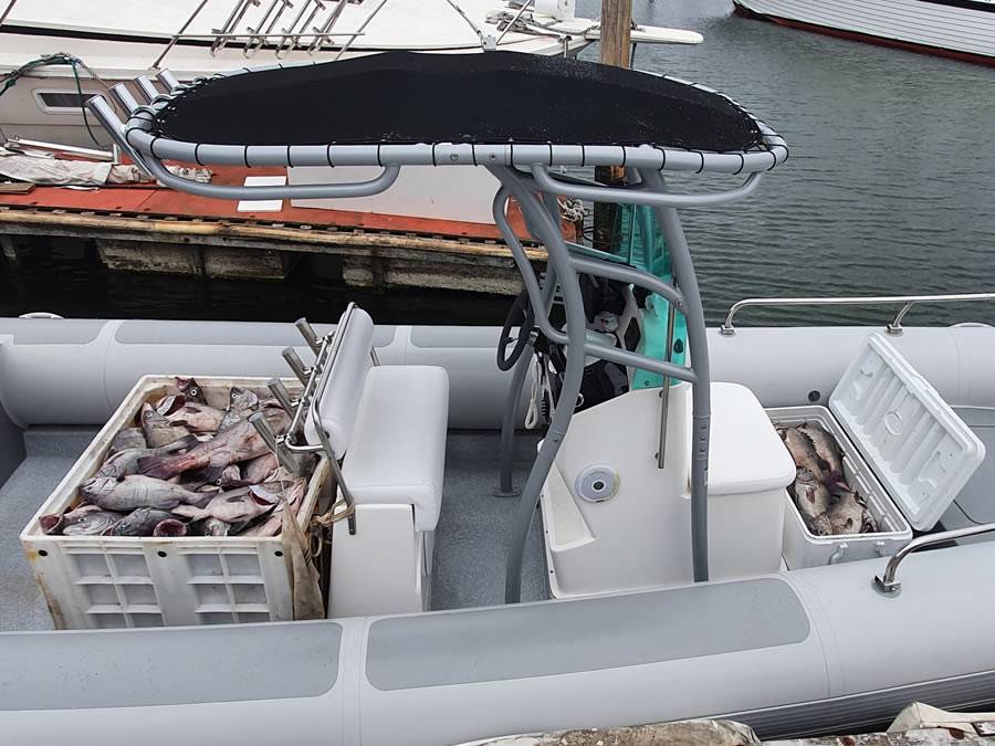 2019 RIB 8 with SG900 Boat T-Top