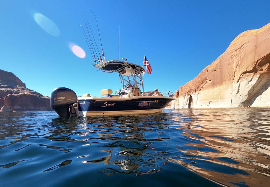 2020 Scout 195 Sport Fisher with SG900 Boat T-Top