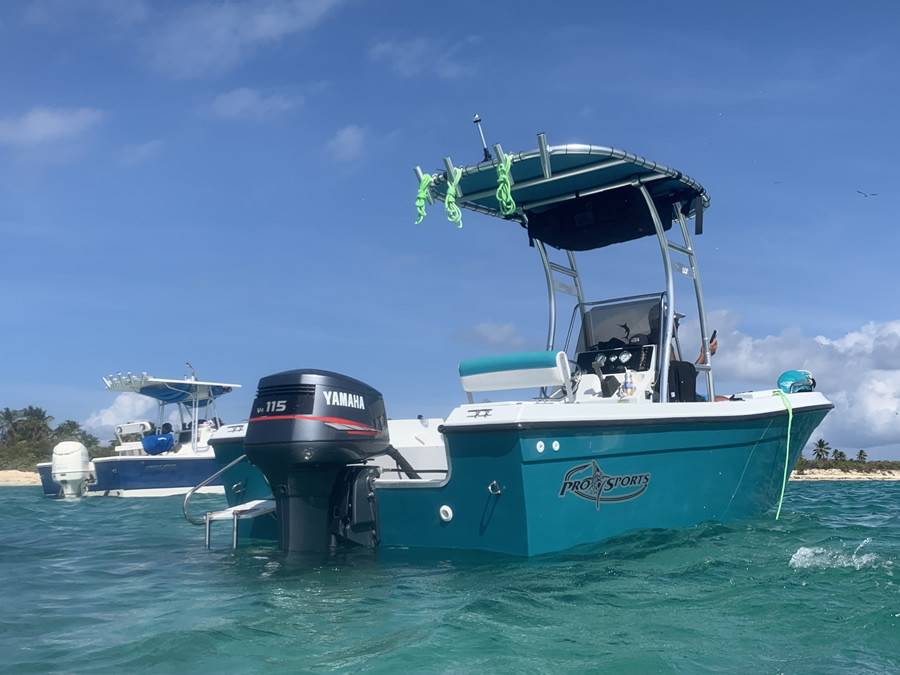 1999 Pro Sport 1850CC with SG300 Boat T-Top, customer install photo