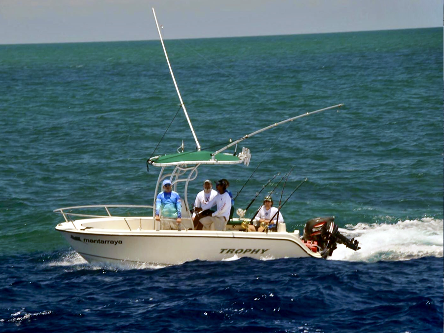 2002 Trophy 1903 with SG600 Boat T-Top
