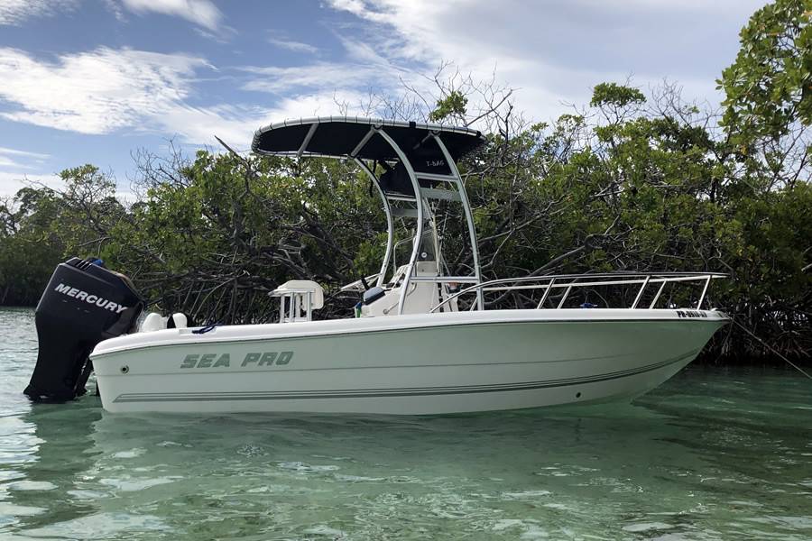 2006 Sea Pro