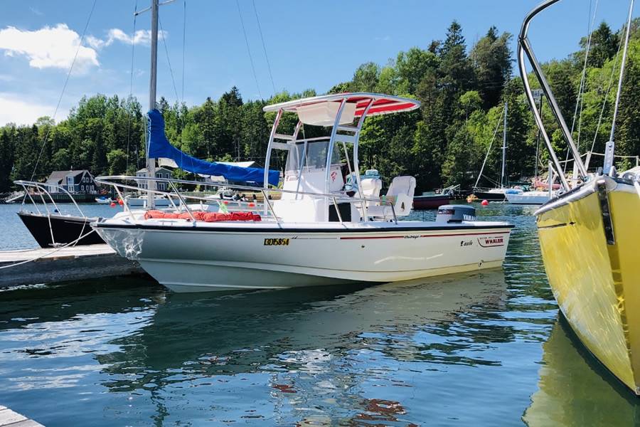 1996 Boston Whaler Outrage 19