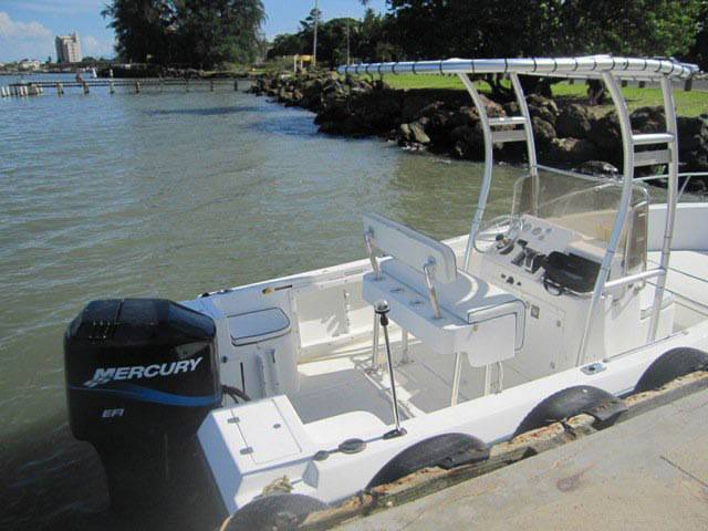 Angler 204 with SG300 Boat T-Top