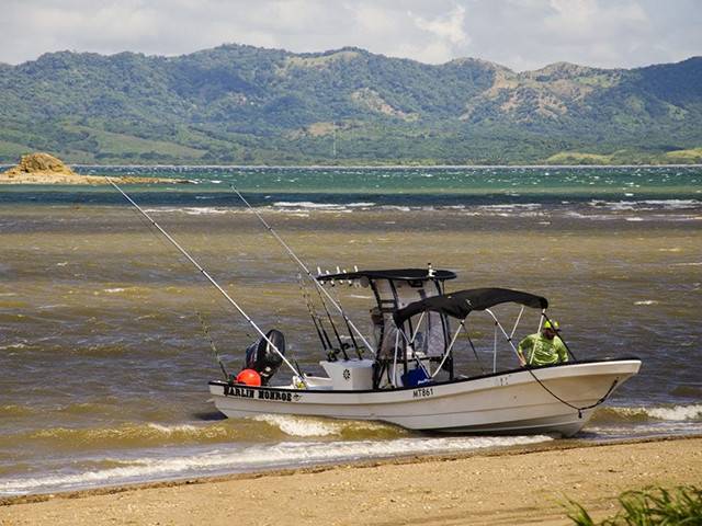 2015 Yamaha Consuelo