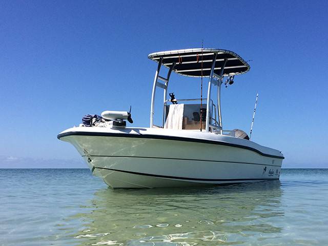 1999 Angler 180 with SG300 Boat T-Top