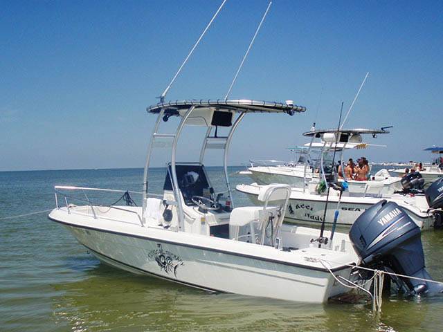 Sunbird Neptune with SG300 Boat T-Top